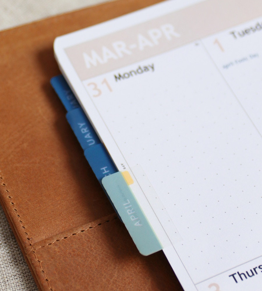 klistermarke månadsflikar fab tabs - blå/brun (tabs) flerfärgad