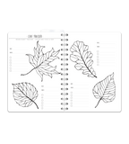 Spiralbindning A5 - Studentkalender