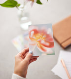 Kort / Miniposters A6 - Flourishing Dreams 15-pack