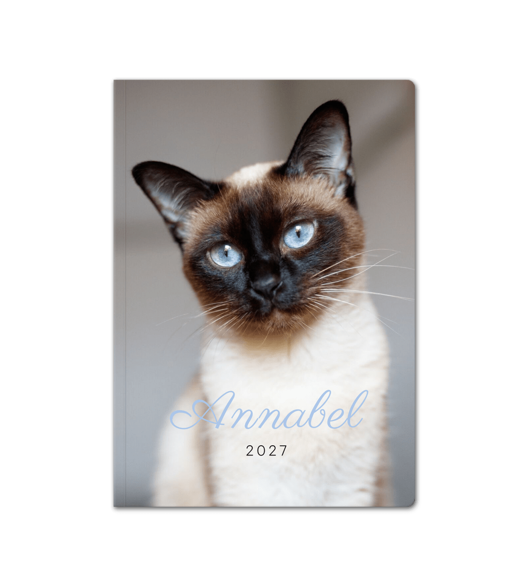 Softcover