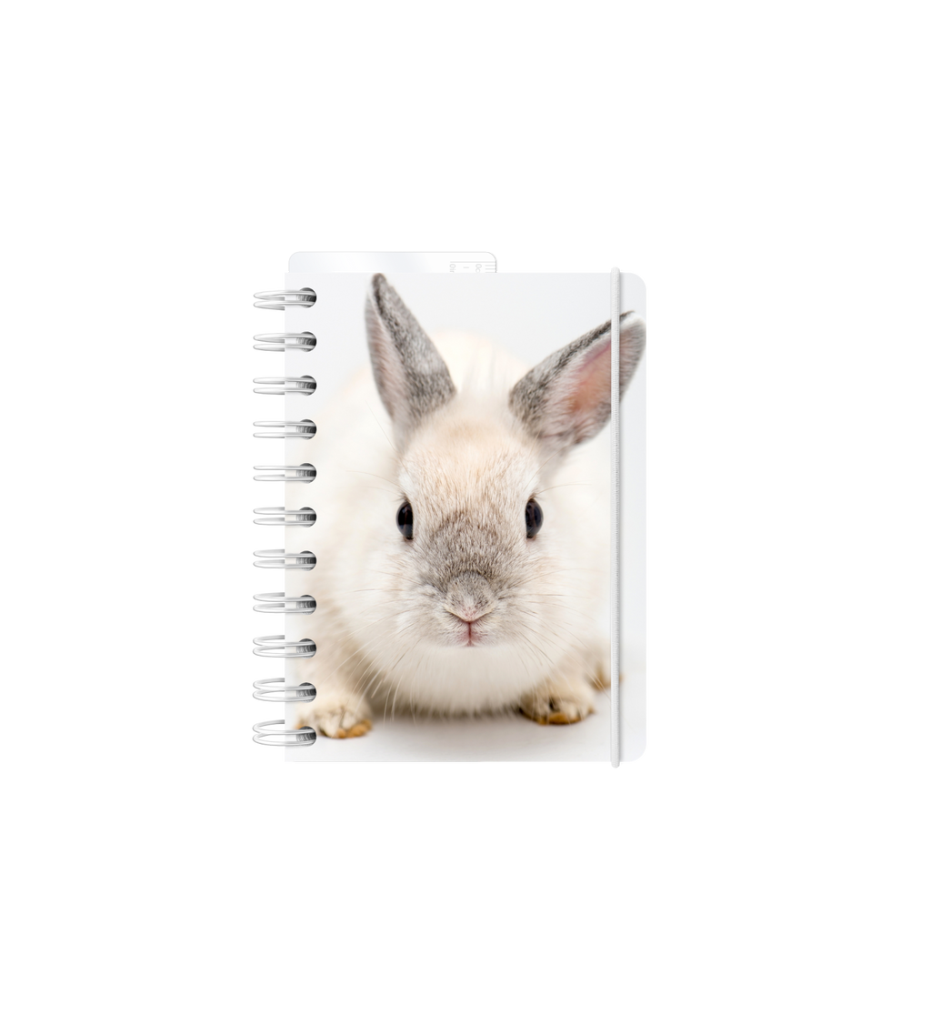 Anteckningsbok - Spiralbunden A6