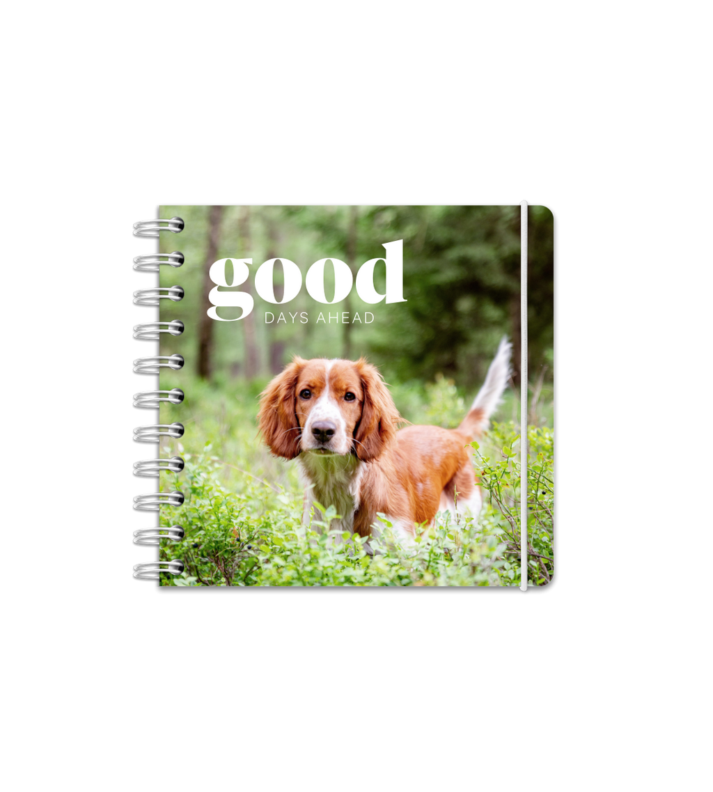 Almanacka - Spiralbindning Mellan