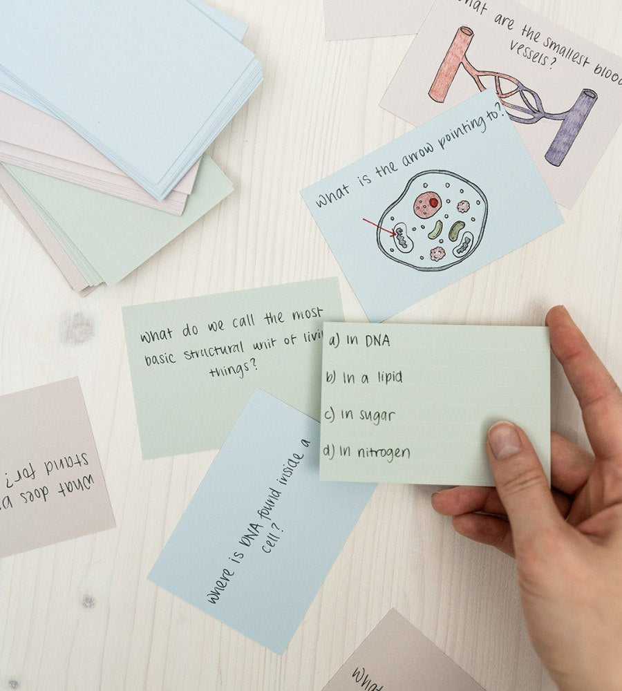 Flashcards - Misty Pastel - Personal Planner