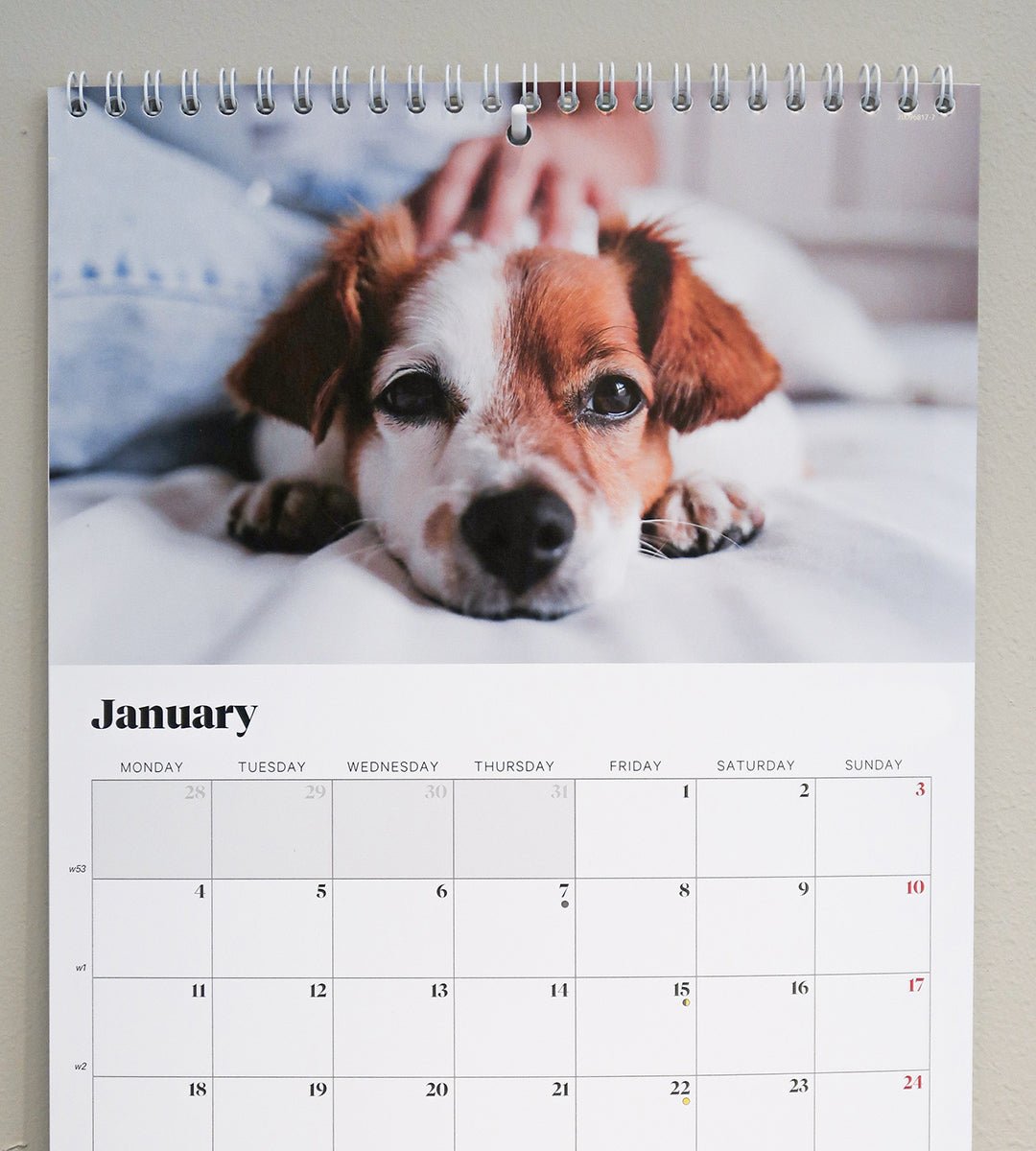 Krok - Självhäftande krok för väggkalender - Personal Planner