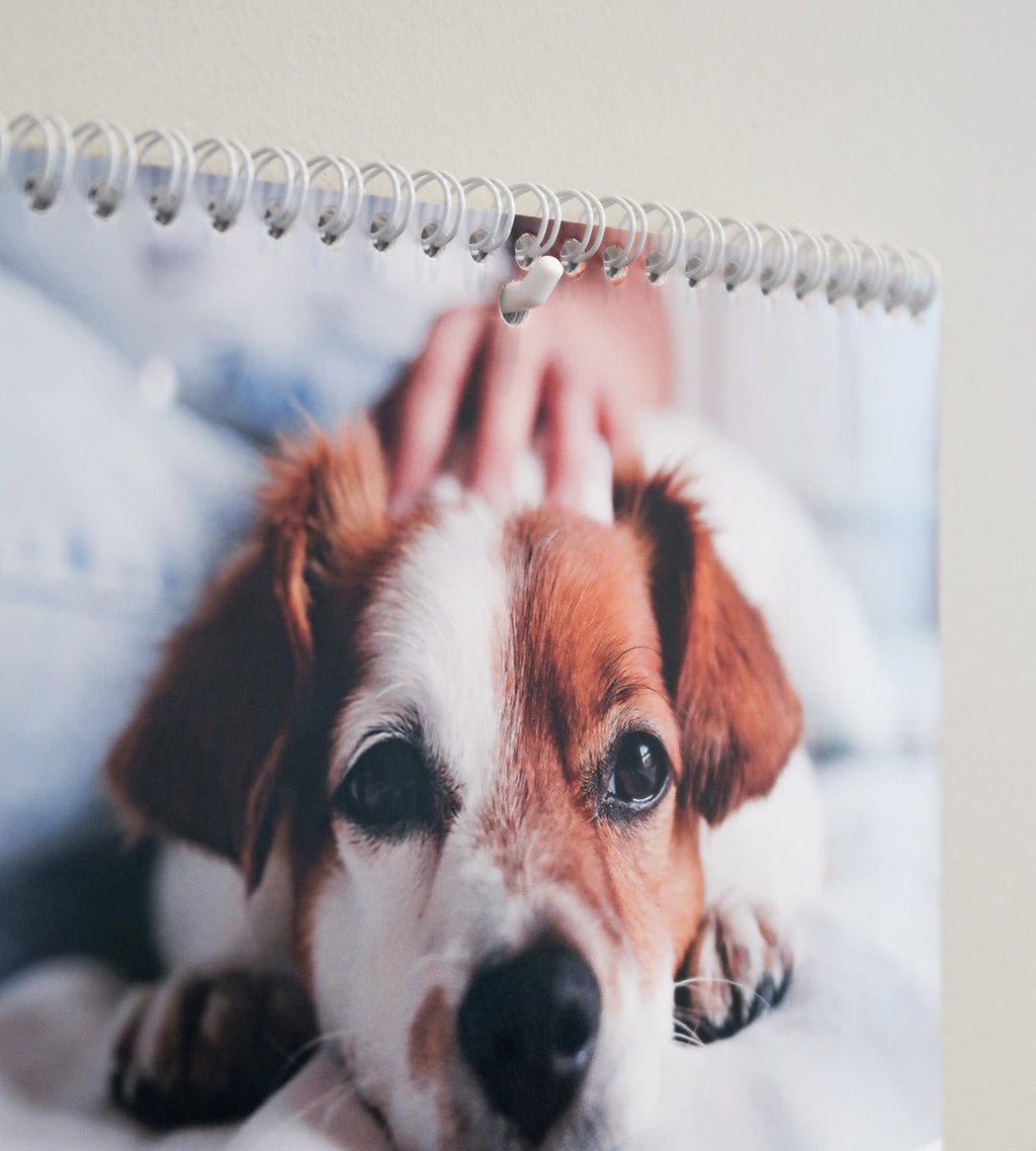 Krok - Självhäftande krok för väggkalender - Personal Planner