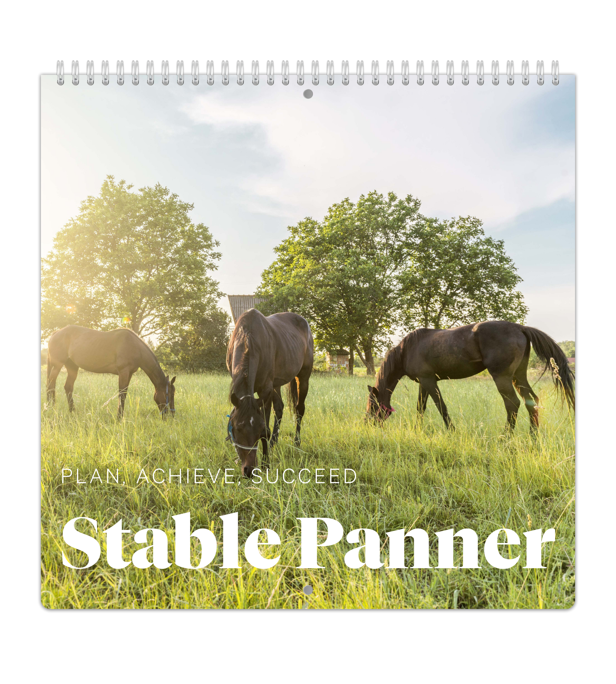 Veckoöversikt - Stallkalender