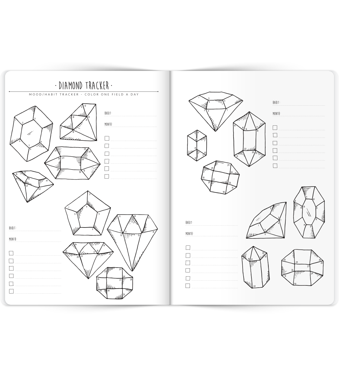 My Bullet Journal