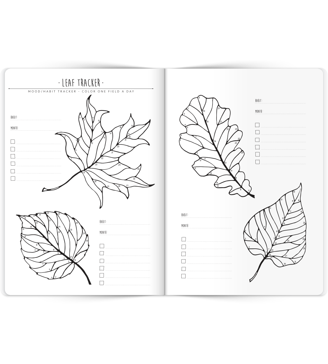 My Bullet Journal