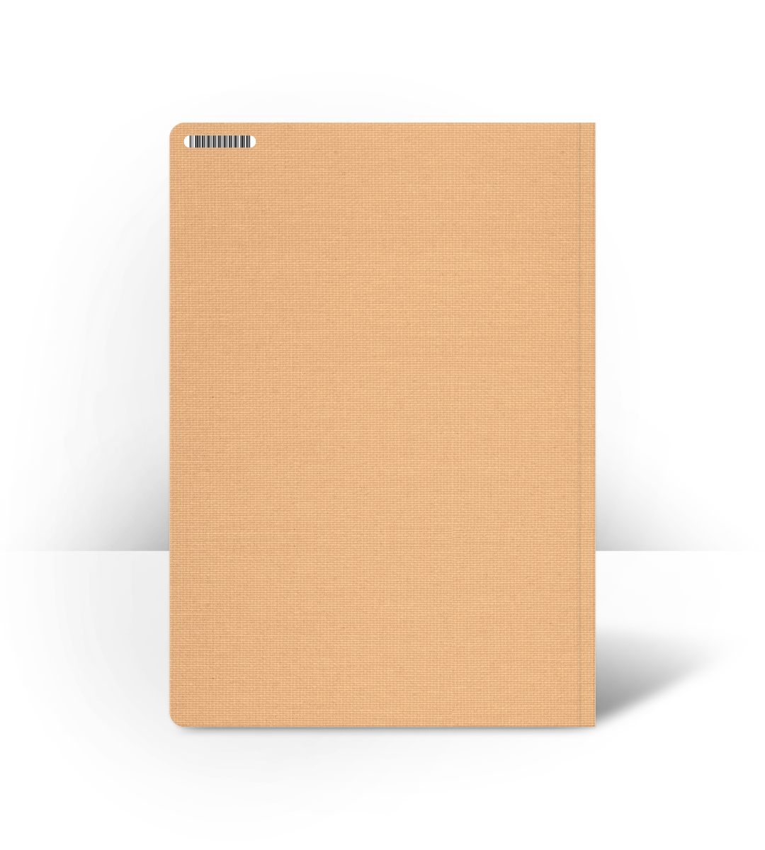 My Bullet Journal